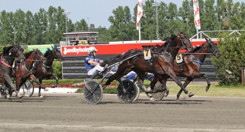 Svenskt toppmöderne bakom nya stjärnan