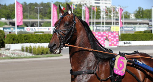 Resplanen klar för Ecurie D.