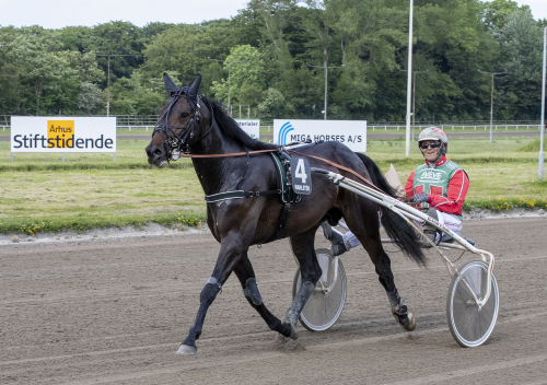 Lottat till Copenhagen Cup