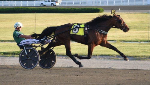 Tre svensktränade i Dexter Cup