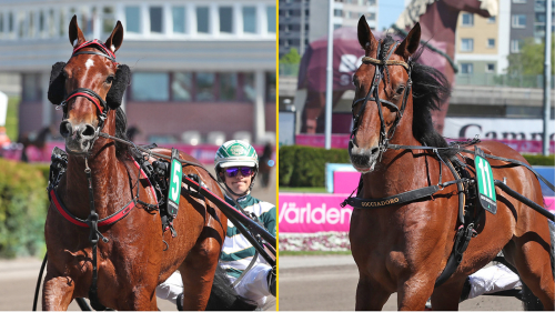 Revanschmöte i Breeders Course?