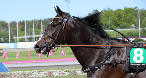 Kort, medel, lång eller extra lång?