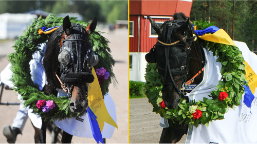 Älskar att fira midsommar i Rättvik