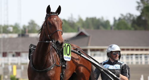 Generalrepetitioner på två fronter