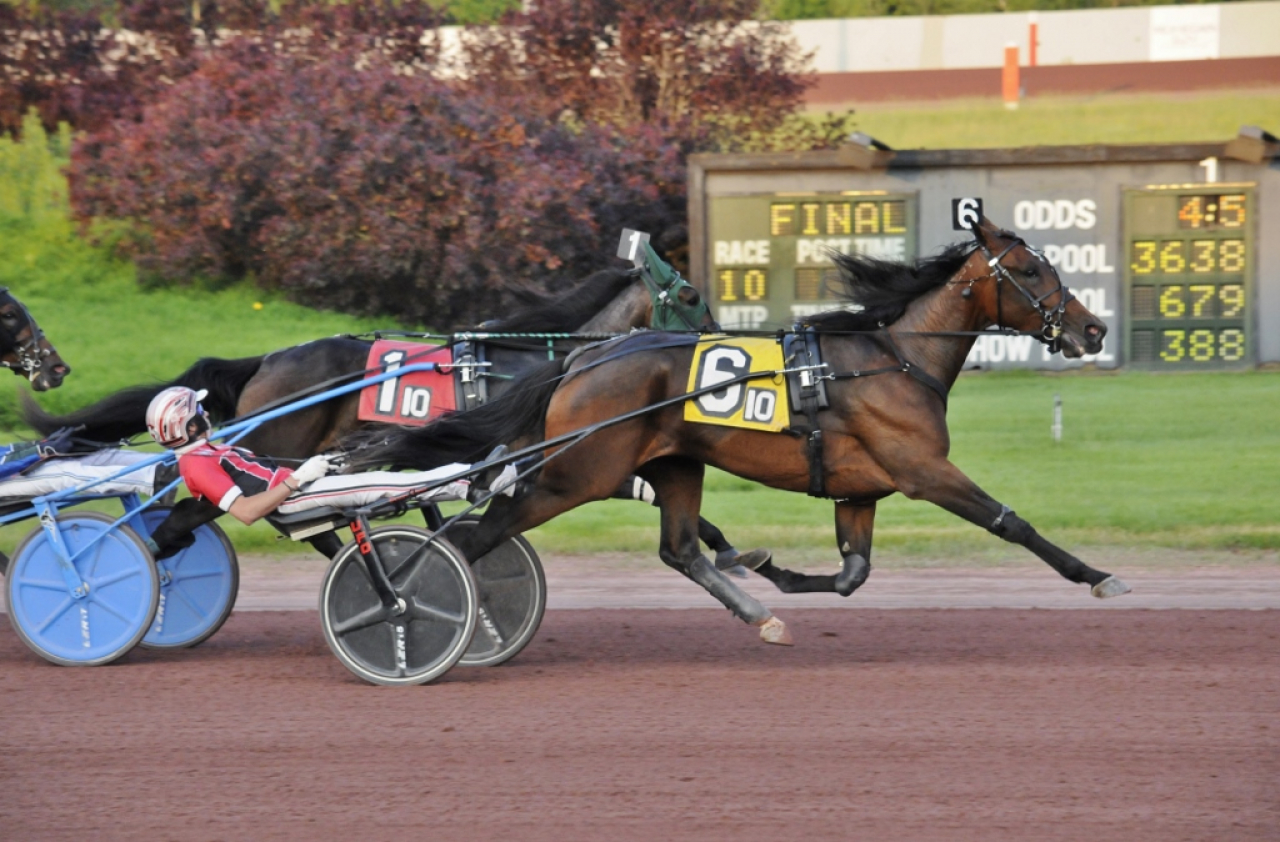 Bella Bellini och Dexter Dunn slog till i natt med en sprakande spurt på Pocono Downs. Foto: Curtis Salonick.