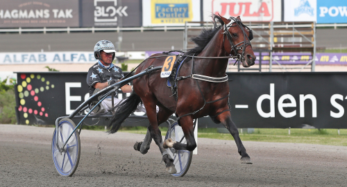 V75-tips: Värd att chansa på!