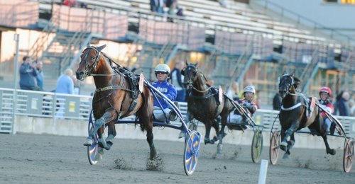 Fyraåringssatsning på Solvalla i juni