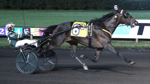 Vill till Elitloppet!