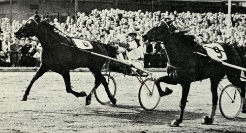 Toppmödernet bakom fyndköpet