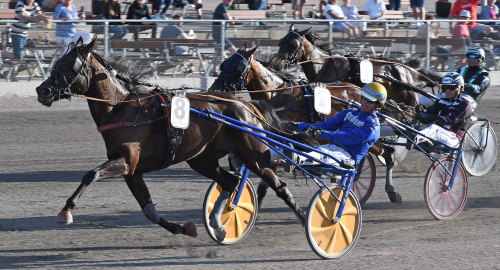 Betting Pacer på rekordtid