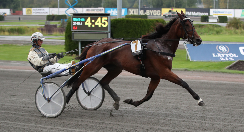 Bildextra: åtta nya föl