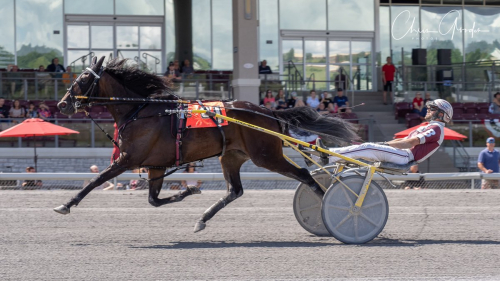 Dubbelseger för Engblom