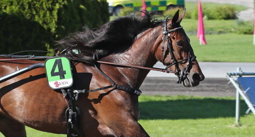 Tredje storsegern för Fifty Cent Piece