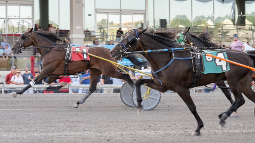 Sebastian K-son vann Arden Downs