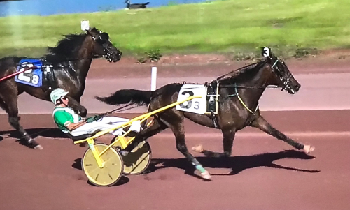 Nuncio-son fortsatt obesegrad