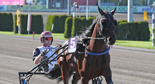Storseger för Bergsåkertränaren