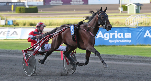 V86: Pettersson på bred front