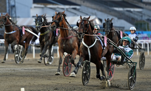 Who’s Who i jobb på Solvalla