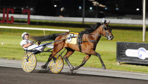 Dubbelt svenskfött i topp