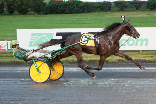 Årssnabbast i världen