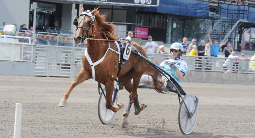 Toppdebut av Mahjestica B.B.
