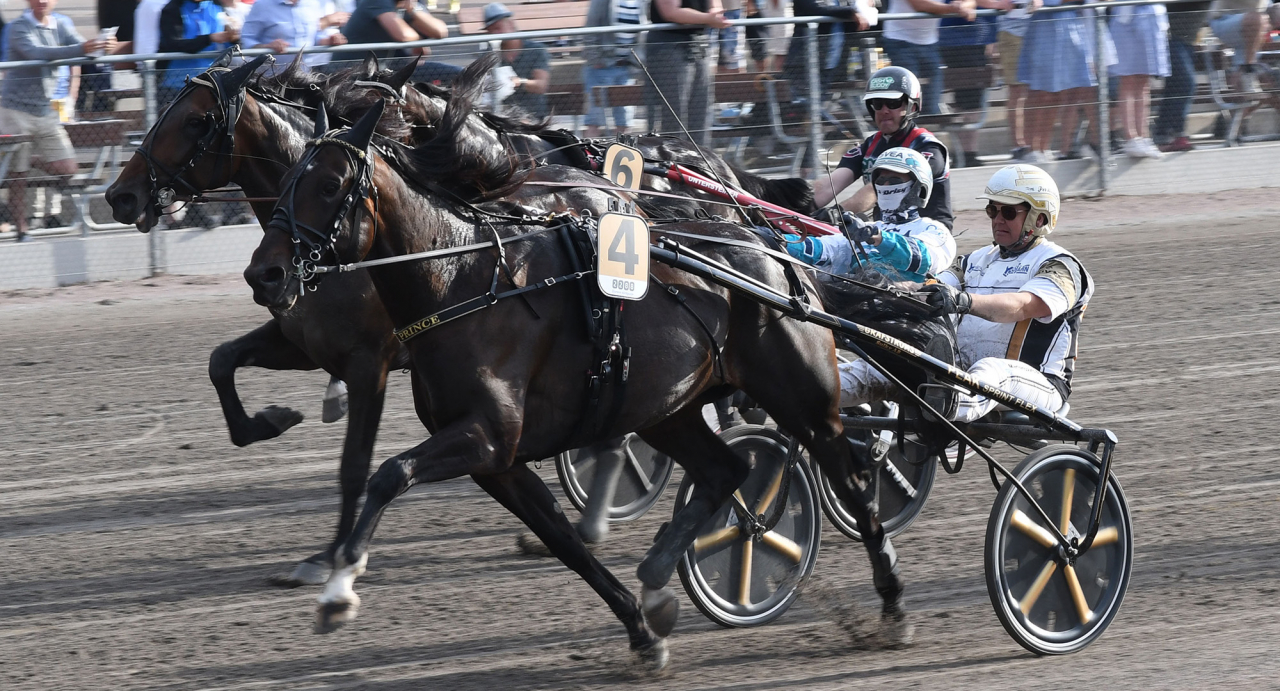 Per Nordströms Kungapokalsvinnare Önas Prince var mycket laddad för dagen när han ledde sitt försök från start till mål utan att behöva brukas för fullt. Foto Lars B Persson