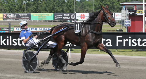 Fyller på med lördagsgodis