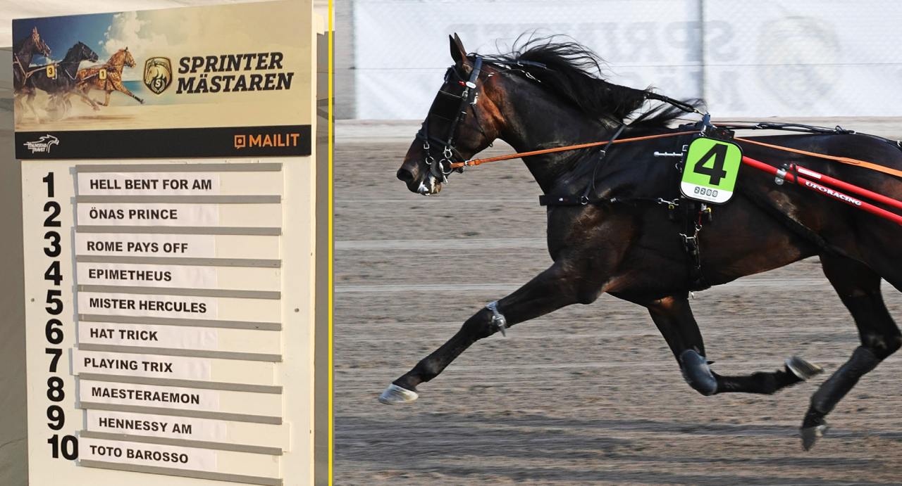 Hell Bent For Am var snabbaste försöksvinnare och vann spårlottningen. Foto Lars B Persson