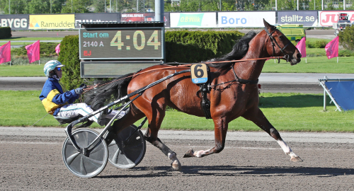 V75-tips: Raka vägen gånger två