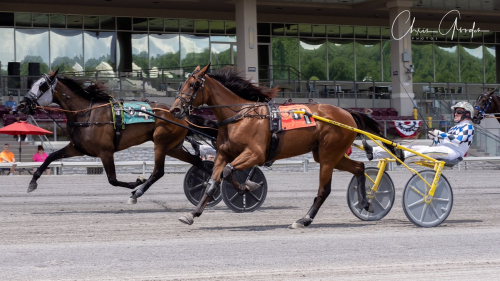 Per Engbloms Vogue debutvann