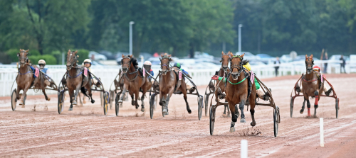 Face Time Bourbon överlägsen