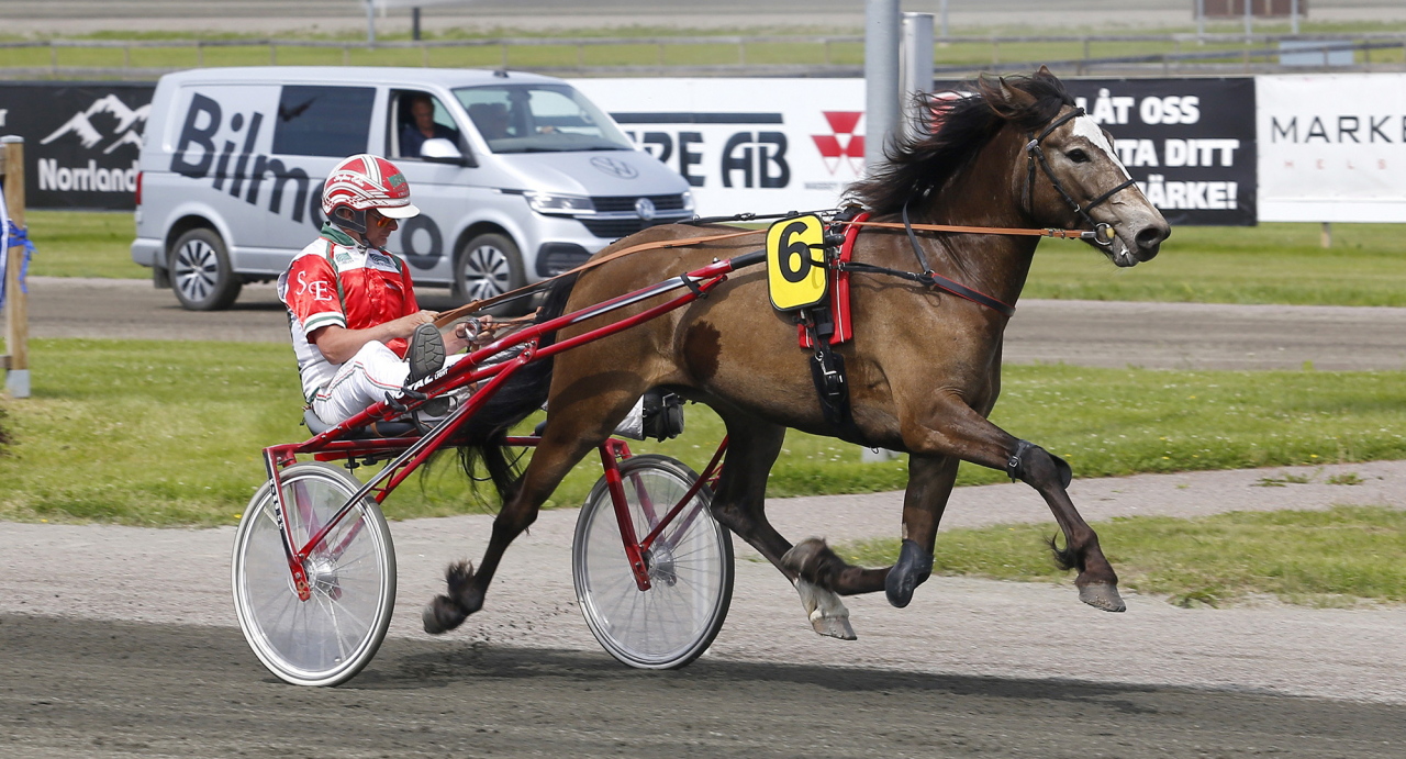 Bato Tösen med Stefan Edin. Foto Hanold/ALN