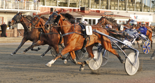 Bouillabaisse ännu bara i början