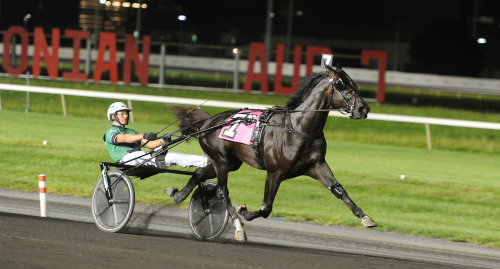 Svanstedt dominerade i Hambot