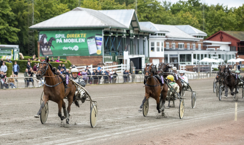 Flower Dust grym från dödens
