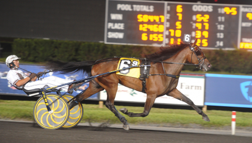 Joviality i Solvalla-jobb