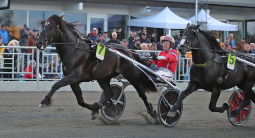 ”Det gäller att jag är på alerten”