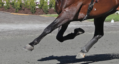 ”En fullt logisk reaktion att lita på ST”