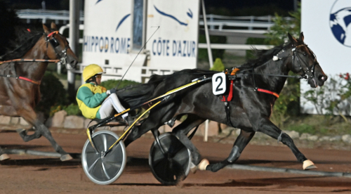 Vivid Wise As på 1.09-tid