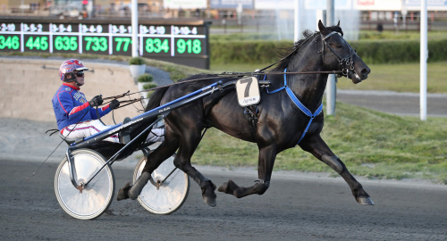 V75: Draken klev in i eliten