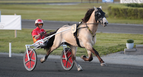 Dubbel Derbyvinnare synas