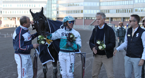 Knappt för Admiral As