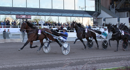 Ny delägare i Calgary Games