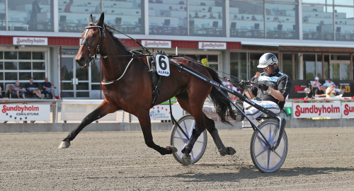 Fjärde raka för Bergh i S:t Leger?