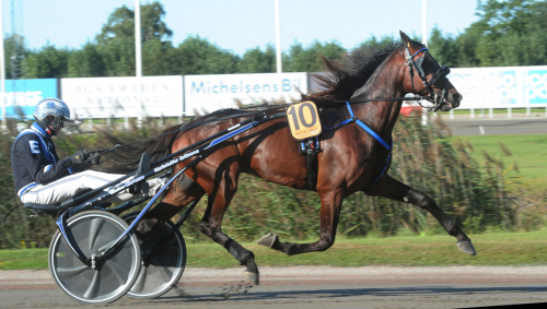 Derbyfinalist utan tränare