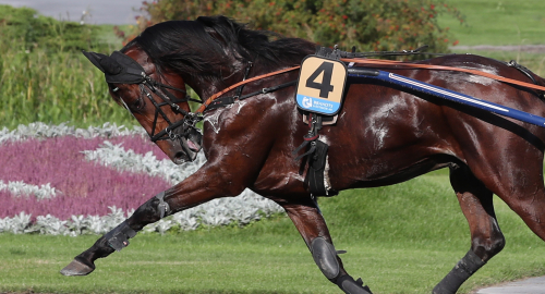 V75: Första segern på 2,5 år