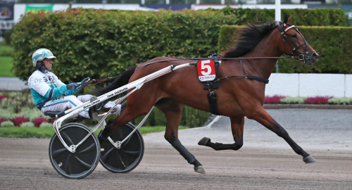 Glamorous trots oglamorös resa