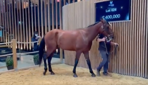 Treåring kostade fyra miljoner