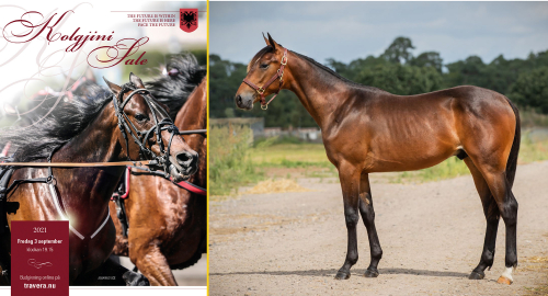 Kolgjini Sale är igång!