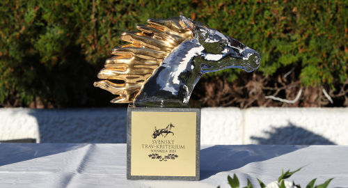 Tolv miljonärer jagar finalplatser